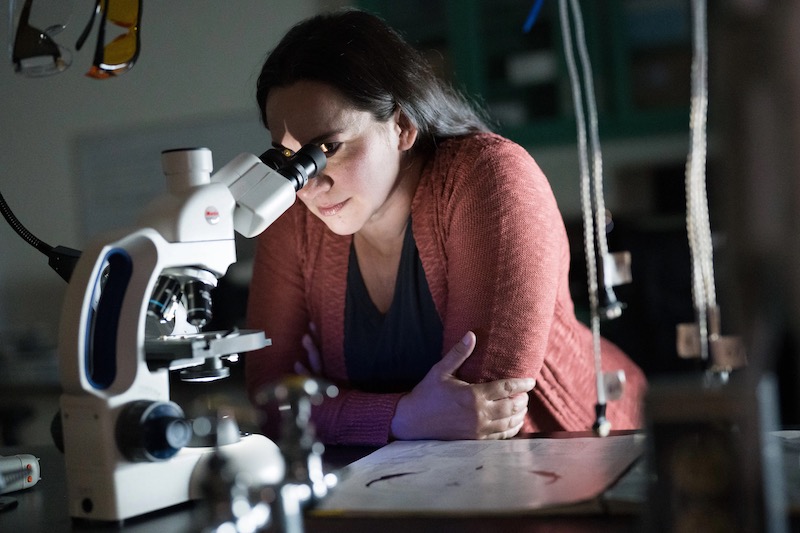 Carolyn Tinsley looking through a microscrope