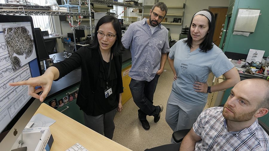 Miranda Lim analyzing sleep lab data with Jonathan Elliot and other team members